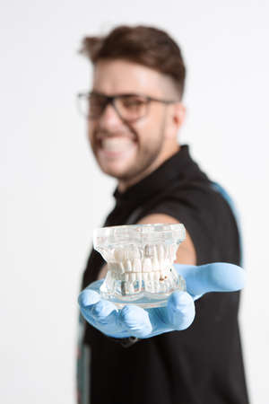 Smiling male dentist with dental jaw model or teeth denture in hand on white background. Stomatology and dental careの写真素材