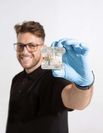 Smiling male dentist orthodontist showing dental jaw model or teeth denture. Dentistry and...