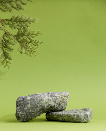 Stone podium with pine tree. Branch, shadow, stone, green background. Display for cosmetic.の写真素材