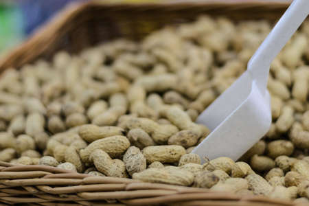 Pile of peanuts with a small shovel in the market の写真素材
