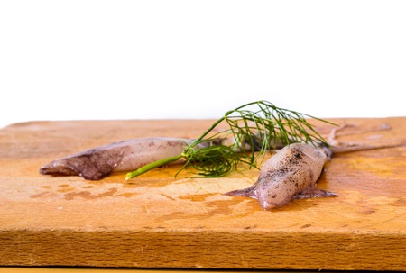 Detail of Sea food - shrimp, mussel, ink-well  with green decoration on chopping board.の写真素材