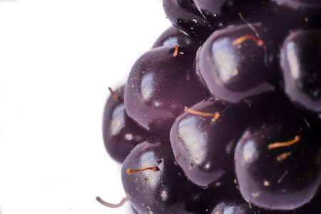 Marco detail of blackberries isolated on white background の写真素材