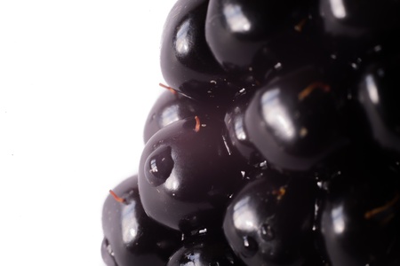 Marco detail of blackberries isolated on white background の写真素材
