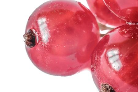 Marco detail of red currant isolated on white bacground の写真素材