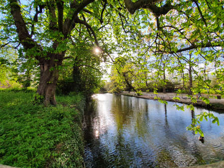 Sunlight over the river