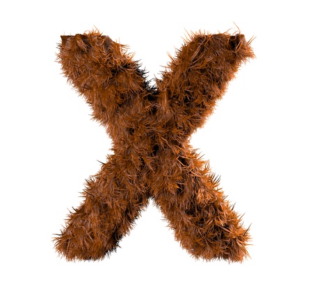 3d render of a hairy xの写真素材