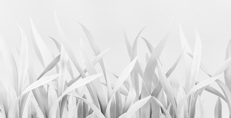 White paper plants background 3d renderingの写真素材