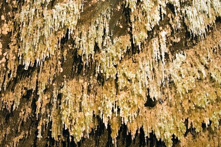 Raw icecles salt in a caveの写真素材