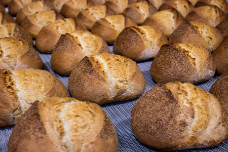 Industrial bakery line oven process of bread production