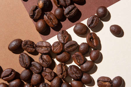 Coffee beans viewed from above on a background of different colorsの写真素材