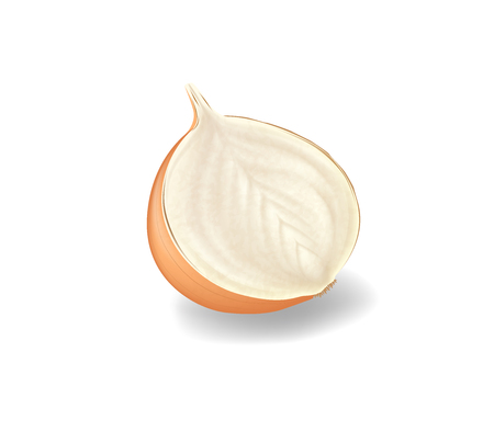 Sliced half yellow onion bulb sisolated on white background.のイラスト素材