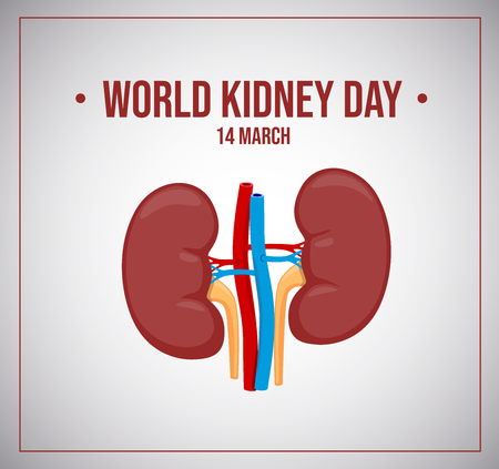 World kidneys day. Vector illustration. Healthy kidney.のイラスト素材