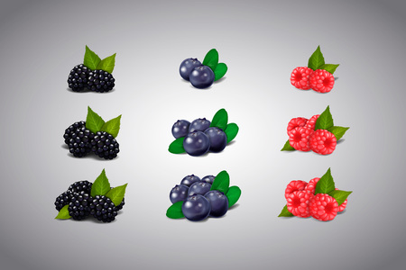 Berries collection. Raspberry, blueberry, blackberry Isolated.のイラスト素材