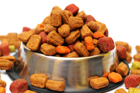 pet food in a silver bowl on a white backgroundの写真素材