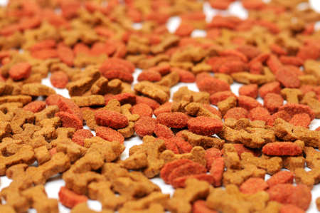 Different types of dry food for petsの写真素材