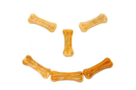 food for dogs in a smile
