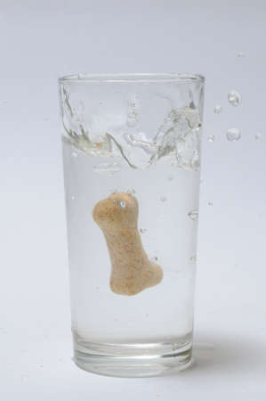 dry dog food and waterの写真素材