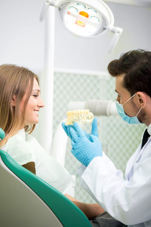 Dentist man with the teeth model. Dental health care clinic.