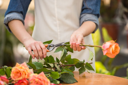 Close-up. Young female florist pruning rose in frowers shop.の写真素材