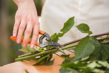 Close-up. Young female florist cutting a roses with secateur at flower shop.