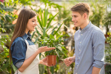 Female florist giving young male flower pot.の写真素材