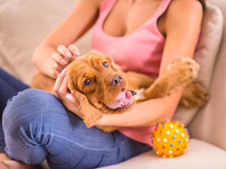 Young woman is playing with a dog at home.の写真素材