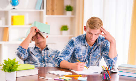Portrait of two young twin boys students do their homework at homeの写真素材