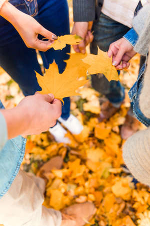 Group of young people students while walking autumn parkの写真素材