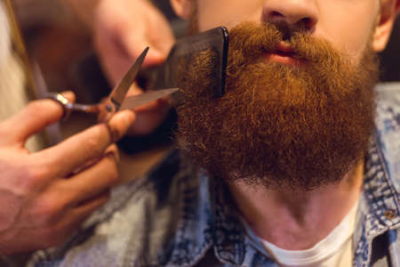 Attractive muscled bearded barber cutting handsome young customer beard at the barber shop, close-upの写真素材