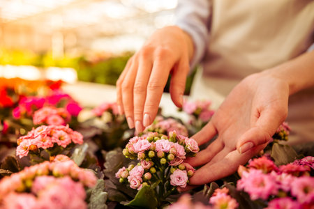 Beautiful young woman is caring for plants in orangery, close-upの写真素材
