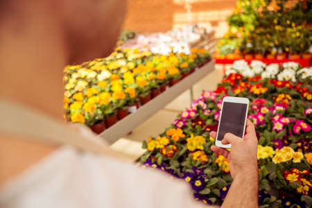 Handsome young man in apron is making a photo of flowers in orangery using a smart phone, close-upの写真素材
