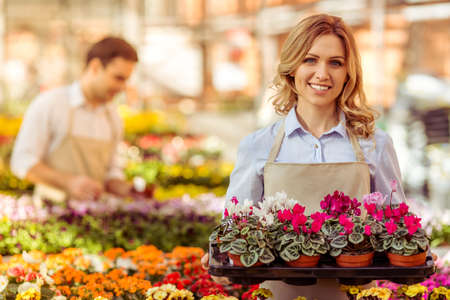 Beautiful young woman in apron is holding plants, looking at camera and smiling while standing in orangery, man in the backgroundの写真素材