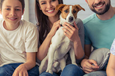 Cropped image of beautiful young parents and their son looking at camera and smiling, sitting with their cute dog on sofa at homeの写真素材