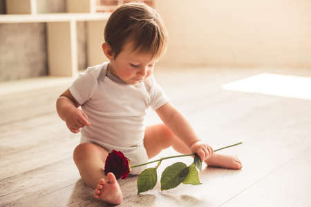 Portrait of cute baby boy playing with rose while sitting on the floor at homeの写真素材