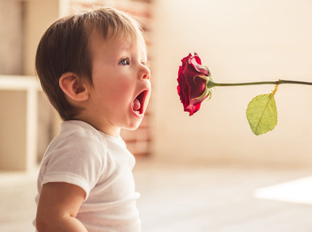 Portrait of cute baby boy playing with rose while sitting on the floor at homeの写真素材
