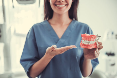 Beautiful young female dentist is holding a jaw and smiling while standing in his office