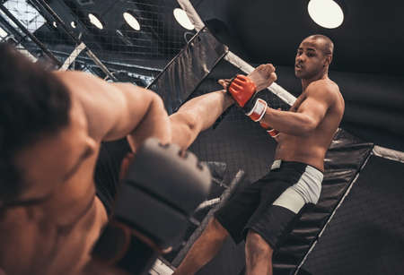 Two men in boxing gloves and shorts are fighting in cageの写真素材