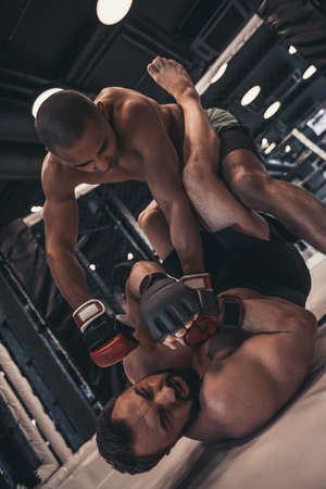 Two men in boxing gloves and shorts are fighting in cageの写真素材