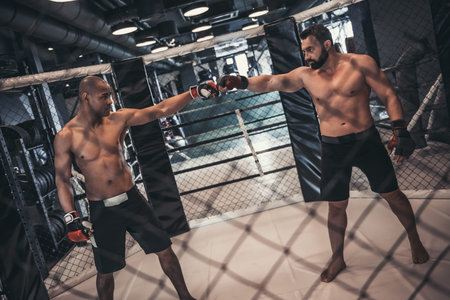 Two men in boxing gloves and shorts are ready to fight in cage