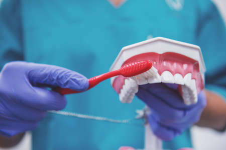 Dentist in protection gloves keeps toothbrush and dental prosthesis. Close-upの写真素材