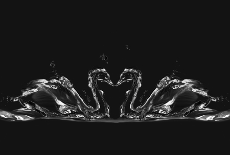 Silhouettes of two water swans in love forming a heart between them.の写真素材