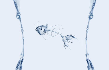 A framed water fishbone in blue water.