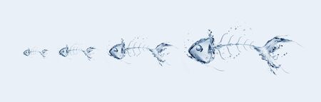 A chain of fishbone made of water.の写真素材