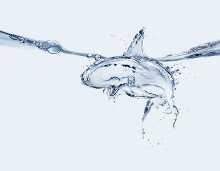 A shark made of water swimming in a menacing way.の写真素材