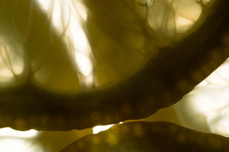 Lemon slices close up ,backgroundの写真素材