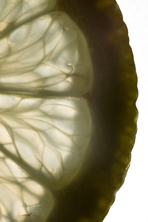 Lemon slices close up ,backgroundの写真素材