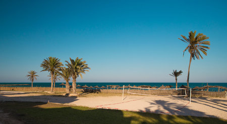Sunset and palm trees, Djerba, Tunisia.