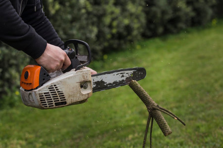 Close-up of male hands cutting trunk with chainsaw.