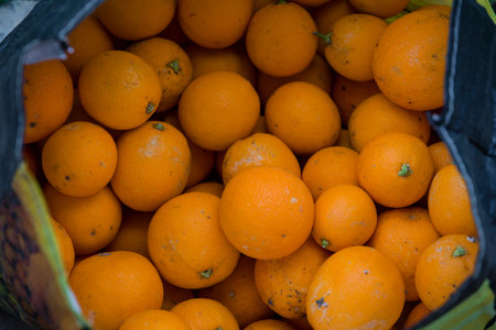 Several medium-sized oranges isolated in a bag.
