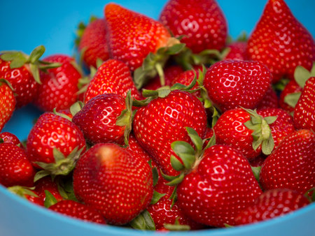 Detail of ripe organically grown strawberries looking great isolated.の写真素材
